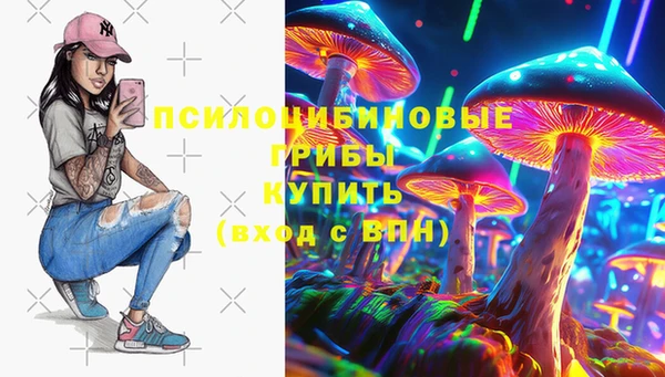 стафф Баксан